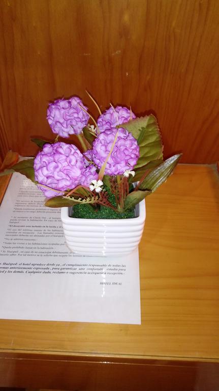 Hotel Ideal Montecarlo Luaran gambar